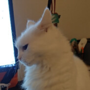 Profile picture of _Robertas