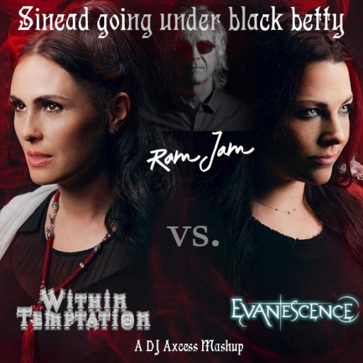 Within Temptation — Sinead (the Remixes).